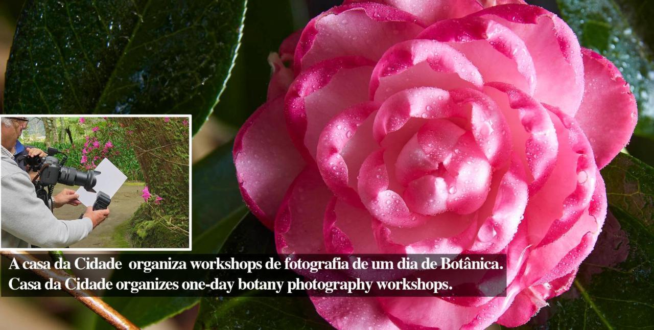 Casadacidade Ponta Delgada Eksteriør billede